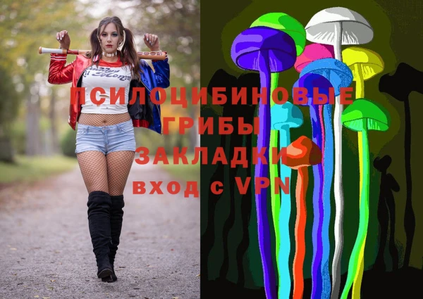 2c-b Няндома