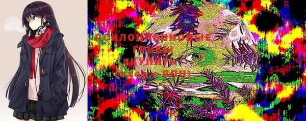 2c-b Няндома