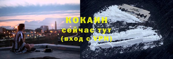 дурь Болотное